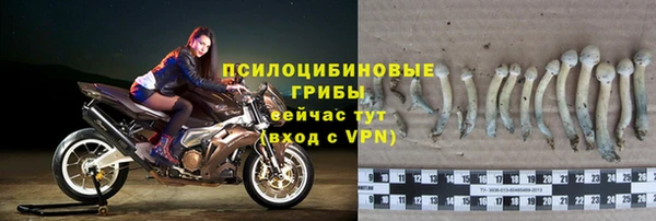 2c-b Алексин