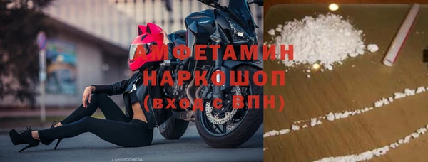 прущие грибы Нефтекумск