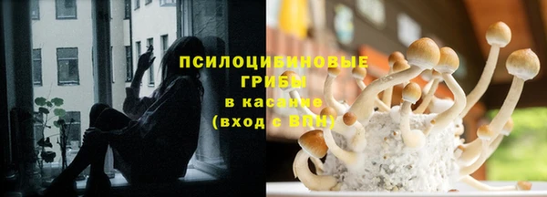 прущие грибы Нефтекумск