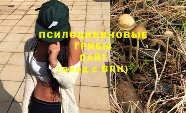 2c-b Алексин
