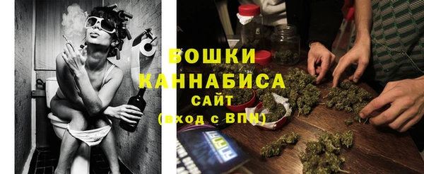 ГАЛЛЮЦИНОГЕННЫЕ ГРИБЫ Нея