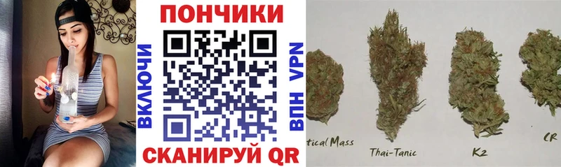 как найти закладки  Щигры  Бошки Шишки THC 21% 